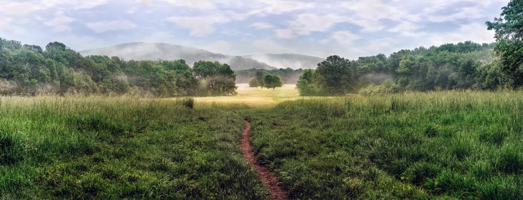 Tales of the Wicked and&nbsp;Brave